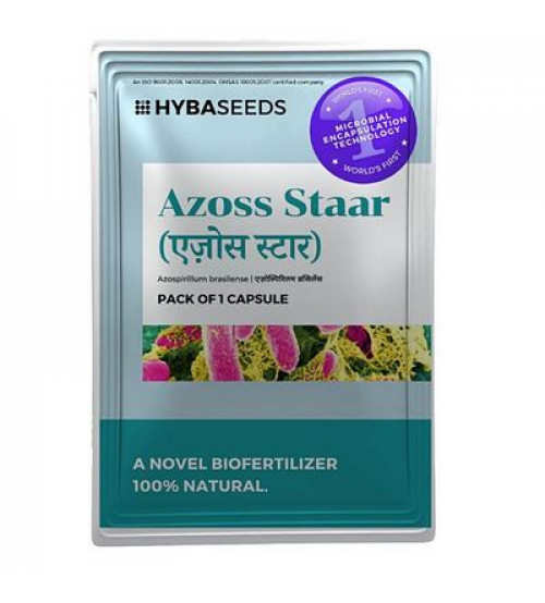 Azoss Staar (Azospirillum Brasilense) - 1 Capsule